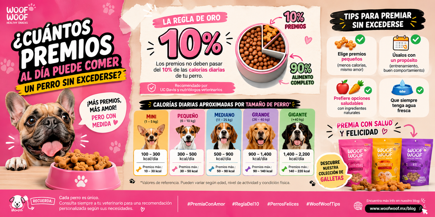 ¿Cuántos premios al día puede comer un perro sin excederse?