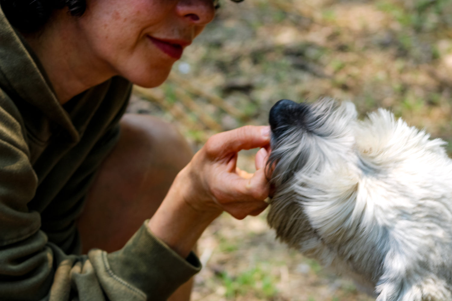 ¿Para qué sirven realmente los premios para mascotas? Más que un simple antojo