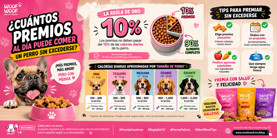 ¿Cuántos premios al día puede comer un perro sin excederse?
