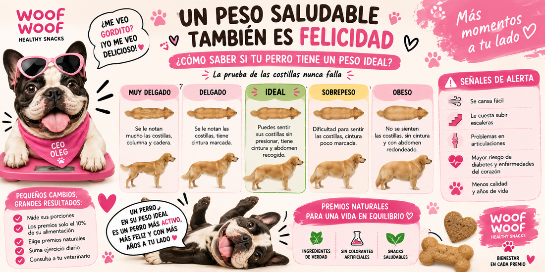 ¿Travesura o ansiedad? Lo que hace tu perro cuando se queda solo