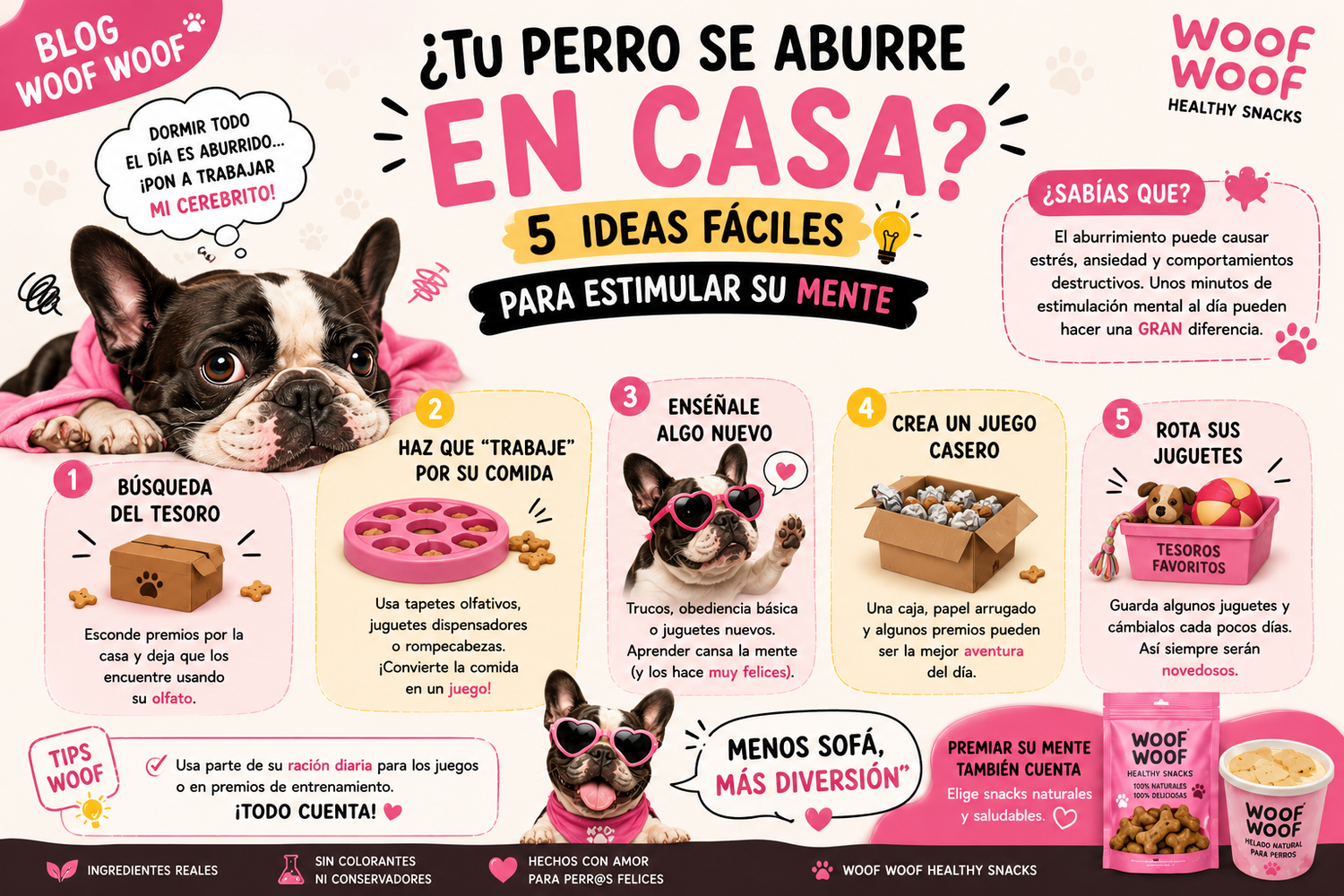 ¿Tu perro se aburre en casa? 5 ideas fáciles para estimular su mente