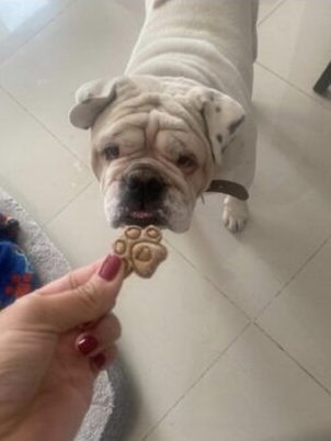 Pancho